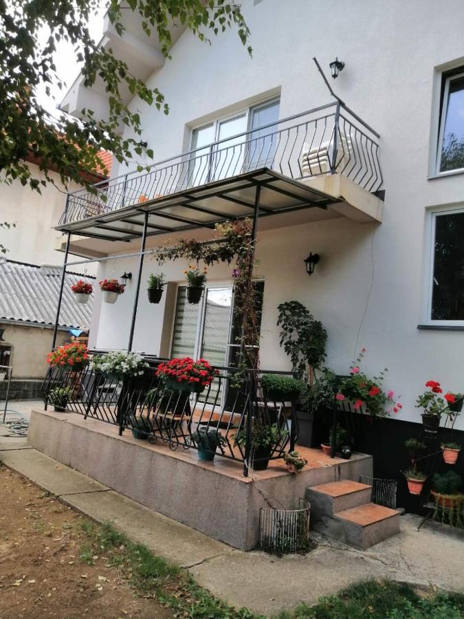 Apartment Mihajlovic Vranje Exteriör bild
