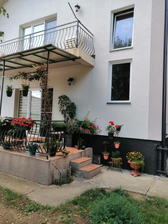 Apartment Mihajlovic Vranje Exteriör bild