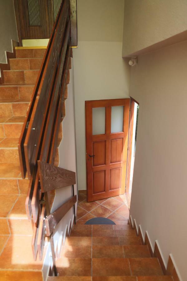 Apartment Mihajlovic Vranje Exteriör bild